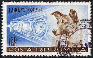 Posta Romana - 1959 - Laika 120 B.jpg