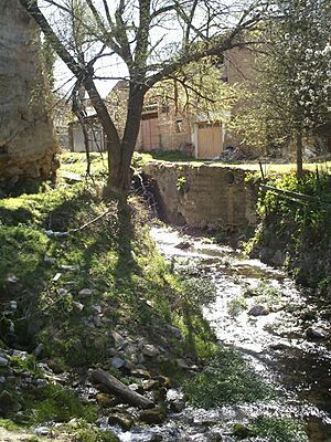 Archivo:Rio Anamaza en Devanos 2008