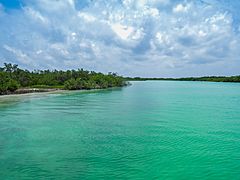 River Holbox island Mexico Fluss (19991380170)