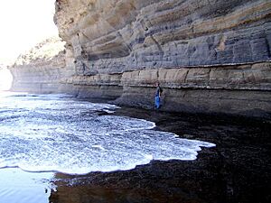 Archivo:Rock Strata