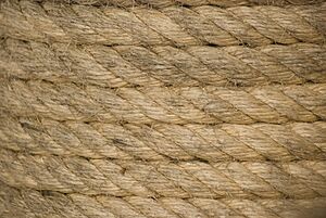 Archivo:Rope closeup