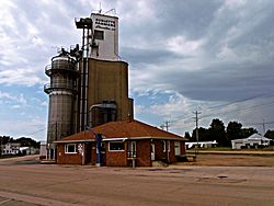 Sublette Farmers Elevator Co., Sublette, Illinois.jpg