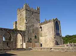 Archivo:Tintern Abbey (Co. Wexford)