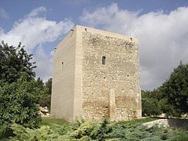 Torre d'en Dolça 1.jpg