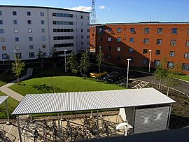University of essex quays 2005 05 25.jpg