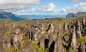 Venezuela - Vista desde Acopán tepui.jpg