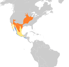 Distribución geográfica del vireo de Bell.