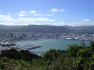Archivo:Wellington