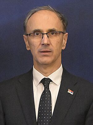 Đuro Macut (cropped).jpg