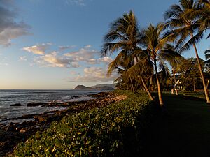 Archivo:2016 Oahu 04