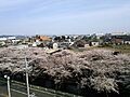 2 Chome Maru, Ōguchi-chō, Niwa-gun, Aichi-ken 480-0145, Japan - panoramio