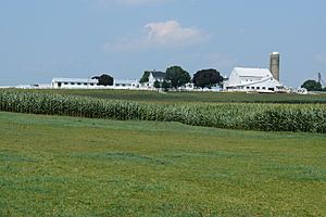 Archivo:Amish dairy farm 4