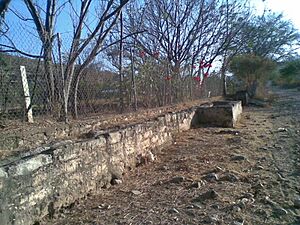 Archivo:Apantle de Apango
