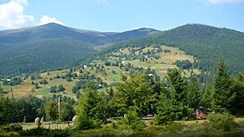 Arieseni 27.jpg