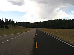 Arizona State Route 67 7.jpg
