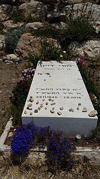 Archivo:Assi Dayan grave 02