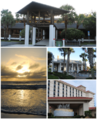 AtlanticBeachFLColl