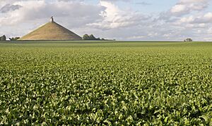 Archivo:Belgique Butte du Lion dit de Waterloo