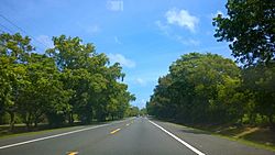 Carretera PR-693, Dorado, Puerto Rico (1).jpg