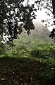 Cerro la vieja