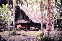 Community house of Yorlap (Yap Islands) with stone money made in Palau NOAA