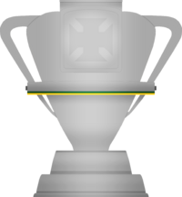 CopadoBrasil2013-.png