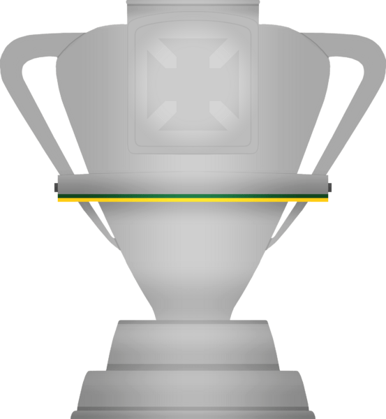 CopadoBrasil2013-