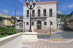 Corozal, 00783, Puerto Rico - panoramio (5).jpg