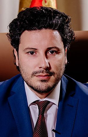 Archivo:Dritan Abazovic (cropped)