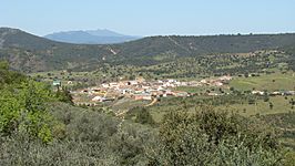 En Extremadura Bohonal de los Montes (Helechosa) Badajoz..JPG