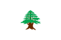 Flag of Lebanon (1918-1920)