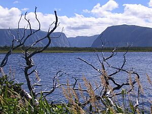 Archivo:Gros Morne NP westernbrookpond2