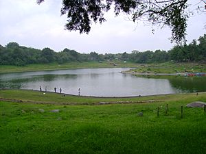 Archivo:Laguna de Carrizalillo