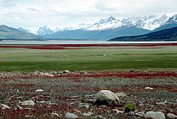 Archivo:Landschaft von Patagonien