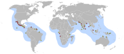 Distribución de Lepidochelys olivacea. Círculos rojos: áreas de puesta. Amarillos: playas de menor importancia.