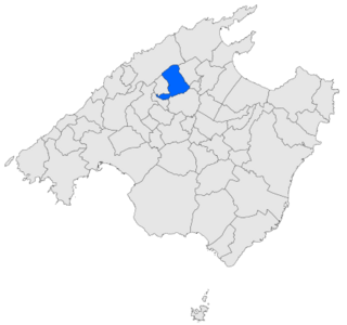 Localització de Selva respecte de Mallorca.svg