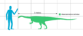 Massospondylus scale SW