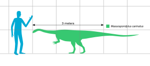 Archivo:Massospondylus scale SW