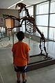 Museo prehistoria Orce 02