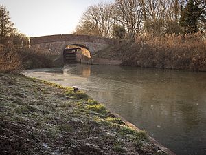 Archivo:Newbury Avon Canal