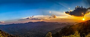 Archivo:Nyungwe Panorama