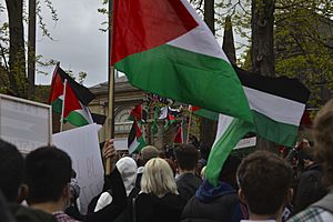 Archivo:Palestine Flags (51183347038)