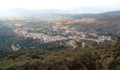 Panorama triei