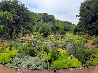 Parque Tricao - Jardín Japonés.jpg