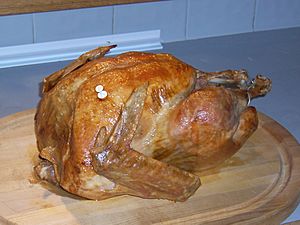 Archivo:Thanksgiving Turkey