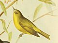 The birds of Australia (16917107412) (cropped)
