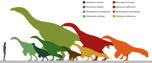 Archivo:Therizinosauridae size comparison