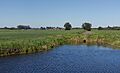 Tussen Meerkerk en Ameide, sloot in polderlandschap foto6 2016-10-05 14.43