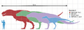 Tyrannosaurusscale