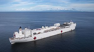Archivo:USNS Comfort (T-AH 20) is anchored off the coast of La Brea, Trinidad and Tobago. (48677005558)